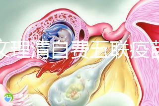 一文理清自費(fèi)五聯(lián)疫苗接種必要性，新生兒打有這些好處