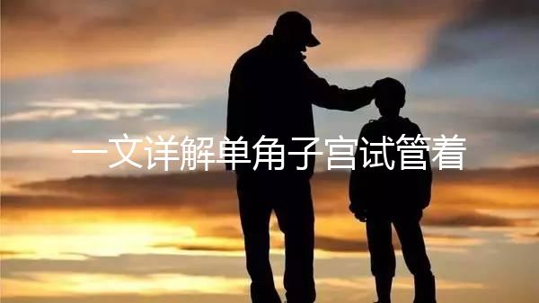 一文詳解單角子宮試管著床困不困難,失敗或和這幾點有關(guān)