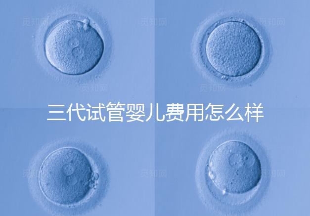 三代試管嬰兒費用怎么樣？很貴嗎？