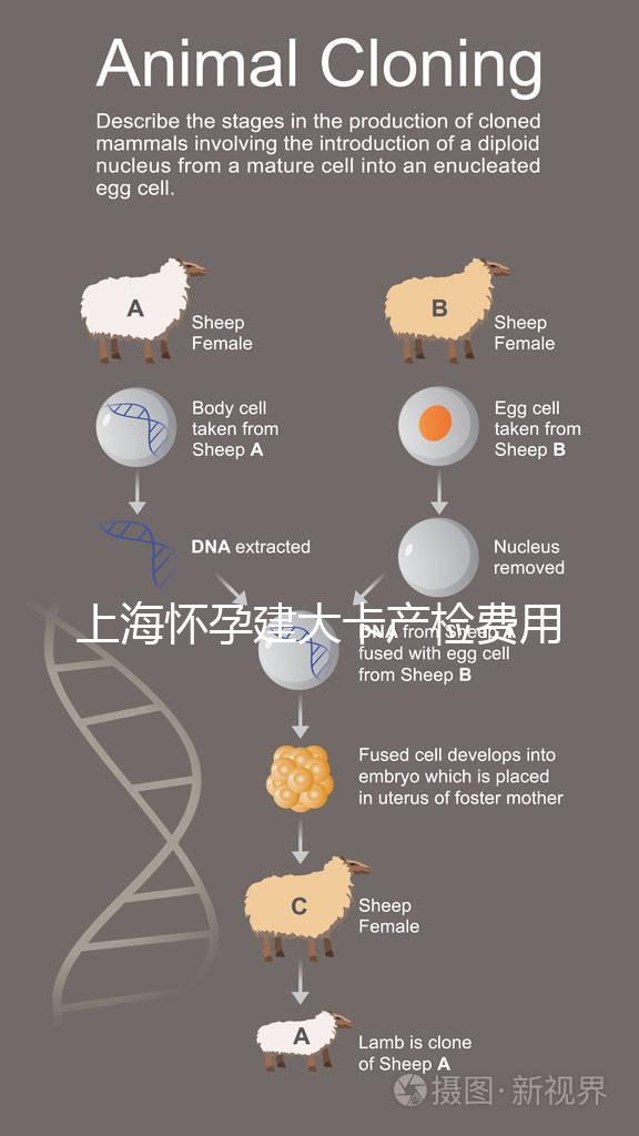 上海懷孕建大卡產(chǎn)檢費用分享，不同地區(qū)收費標(biāo)準(zhǔn)差別大！