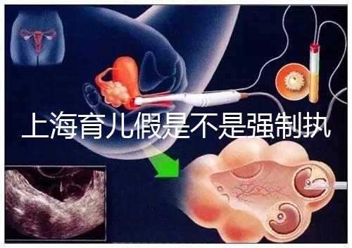 上海育兒假是不是強制執行已明確,2024虹口區何時執行戳