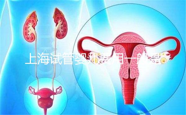 上海試管嬰兒費(fèi)用一般是多少？2025年費(fèi)用明細(xì)全解析、各技術(shù)方案價(jià)格對(duì)比與科學(xué)省錢全指南