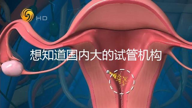 想知道國內(nèi)大的試管機構(gòu)，可以查到的那種？