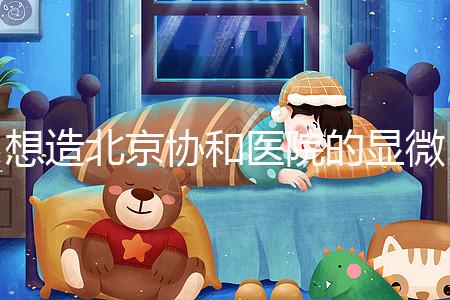 想造北京協和醫院的顯微鏡取精多少錢？2萬不看情況