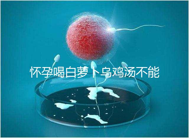 懷孕喝白蘿卜烏雞湯不能止孕吐？選對做法安胎又養顏