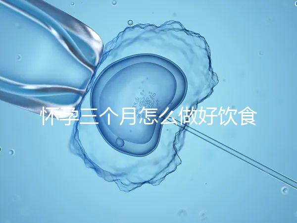懷孕三個(gè)月怎么做好飲食安排？