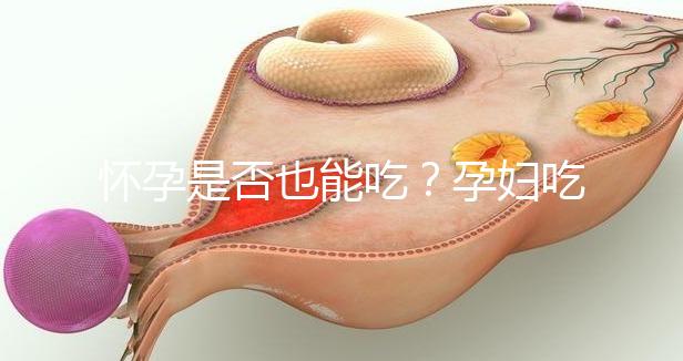 懷孕是否也能吃？孕婦吃海參小米粥的利弊分析