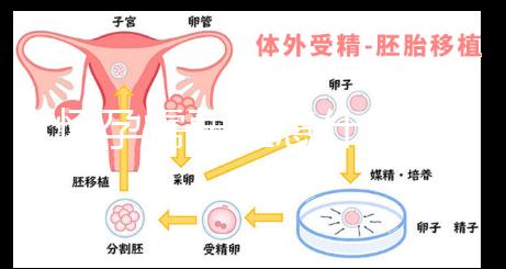 懷孕需要注意什么？