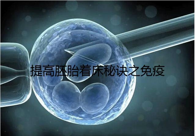 提高胚胎著床秘訣之免疫球蛋白，移植前后注射作用竟不同