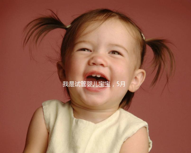 我是試管嬰兒寶寶，5月15號移植的囊胚，預產期是怎么算的 。。？