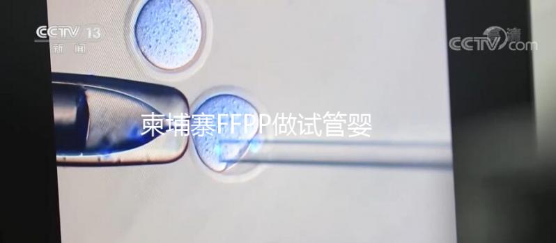 柬埔寨FFPP做試管嬰兒不“包成功”，小心不良中介套路