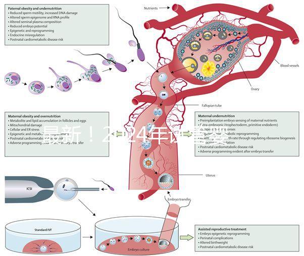 最新！2024年試管嬰兒醫(yī)院排行榜來了！（附名單）