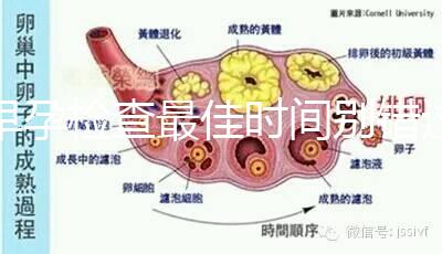 早孕檢查最佳時間別錯過，事關寶寶健康不可馬虎大意