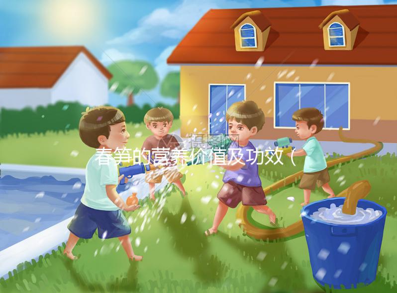 春筍的營養價值及功效(春筍的營養價值及功效與作用)