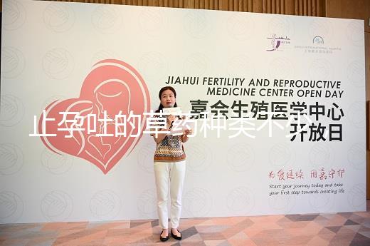 止孕吐的草藥種類不少，胡椒草、半夏…幫你輕松渡過孕早期