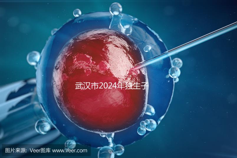 武漢市2024年獨生子女補貼政策已經實施，領取流程更加規范