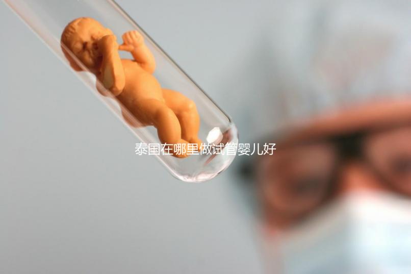 泰國(guó)在哪里做試管嬰兒好（泰國(guó)在哪里做試管嬰兒好一點(diǎn)）