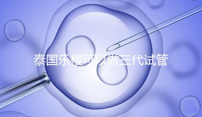泰國樂櫻可以做三代試管嬰兒嗎?能否胚胎轉(zhuǎn)運
