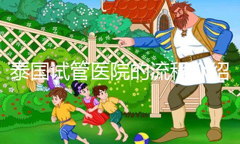 泰國試管醫(yī)院的流程介紹，9個步驟全部完成