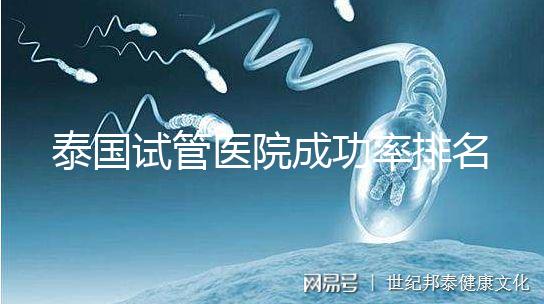 泰國試管醫院成功率排名公布,這些詳細介紹,為您提供選擇參考!