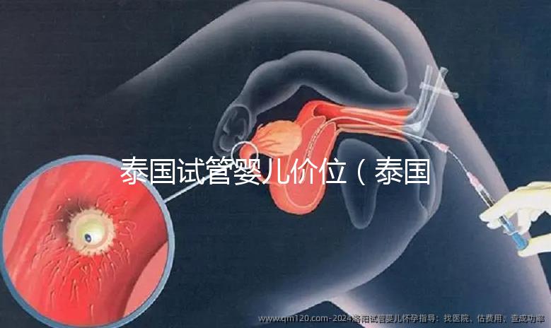 泰國(guó)試管嬰兒價(jià)位（泰國(guó)試管嬰兒價(jià)位多少）