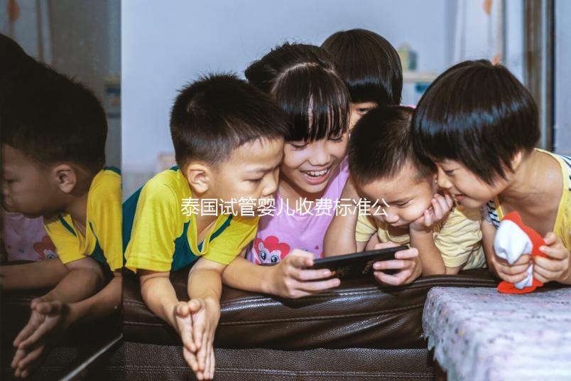 泰國試管嬰兒收費標準公布，藥品費用占大多數(shù)