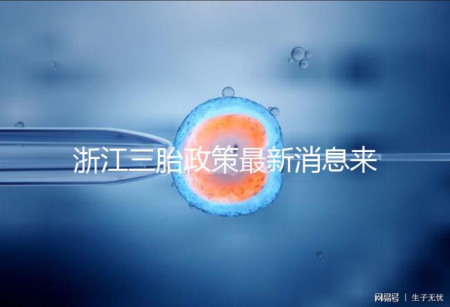 浙江三胎政策最新消息來襲，2024臺州有哪些補貼？