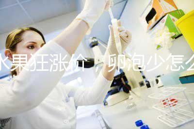 水果狂漲價,卵泡少怎么吃對卵子質量好?不妨看看這里