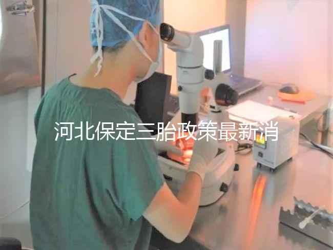 河北保定三胎政策最新消息2024，不造補(bǔ)貼怎么申請看過來