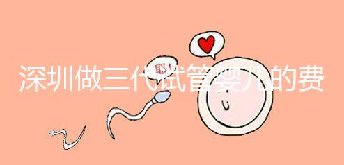 深圳做三代試管嬰兒的費用大概多少錢一次？