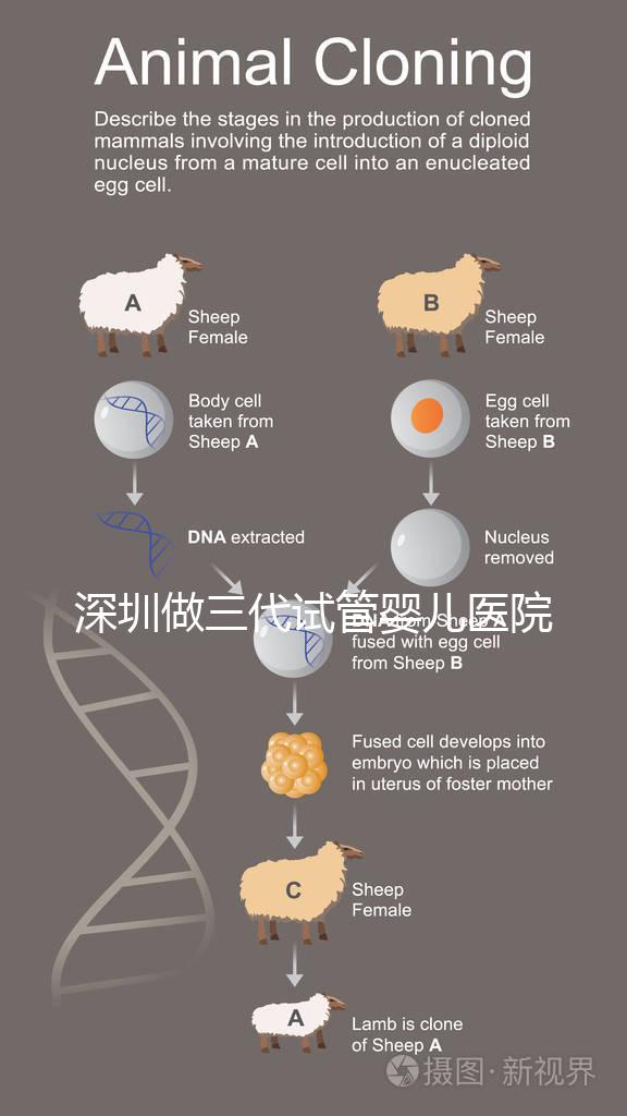 深圳做三代試管嬰兒醫院前10一覽，排名不分先后