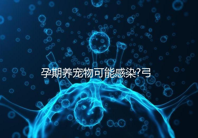 孕期養(yǎng)寵物可能感染?弓形蟲(chóng)病的傳播途徑主要有這些