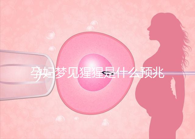 孕婦夢見猩猩是什么預兆？帶你了解相關(guān)胎夢解讀