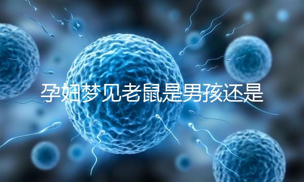 孕婦夢見老鼠是男孩還是女孩不再糾結(jié)，詳細(xì)預(yù)兆解讀看這