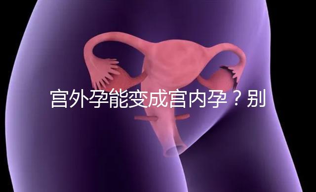 宮外孕能變成宮內孕？別瞎說！會出事兒的！