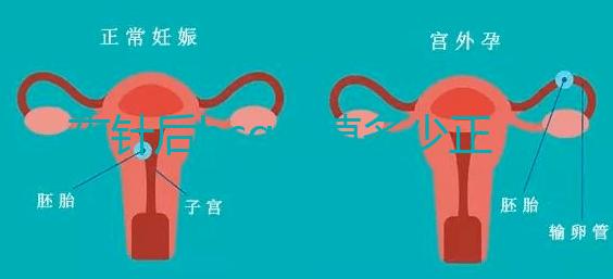 夜針后hcg血值多少正常,10枚成熟卵泡通常在2500以上