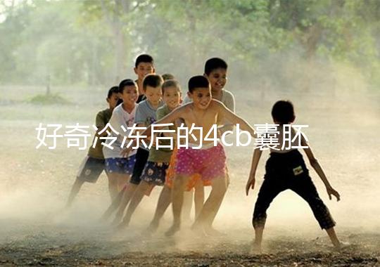 好奇冷凍后的4cb囊胚移植幾天著床看這,第七天別還不敢測