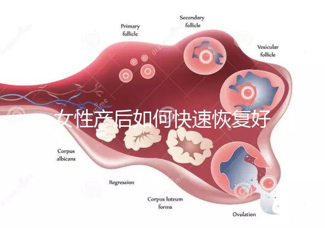 女性產后如何快速恢復好身材？