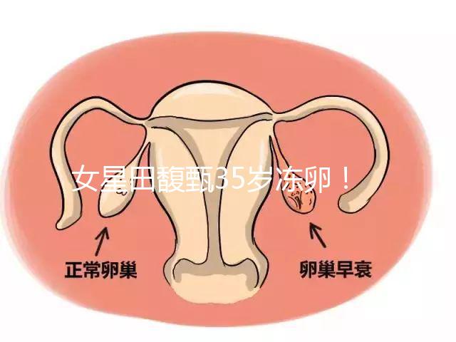 女星田馥甄35歲凍卵！揭秘你不知道的明星凍卵過(guò)程