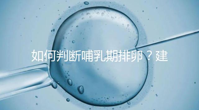 如何判斷哺乳期排卵？建議試試這四招，快速掌握排卵期