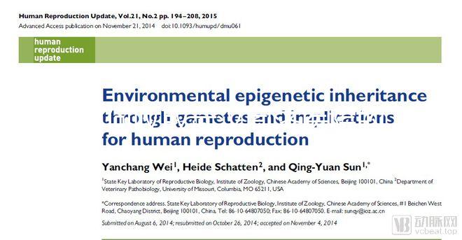 如何收取武漢同濟醫(yī)院的養(yǎng)囊費?查看最新試管費用明細(xì)估算?