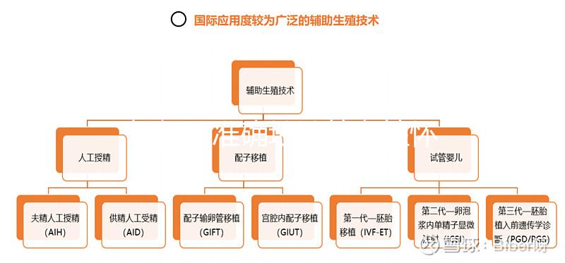 如何更準確地計算女性懷孕時間？