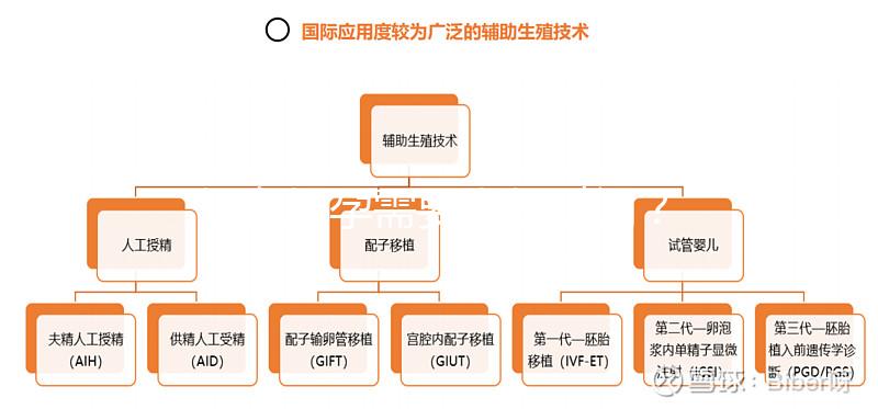 婦女懷孕需要多長時(shí)間？
