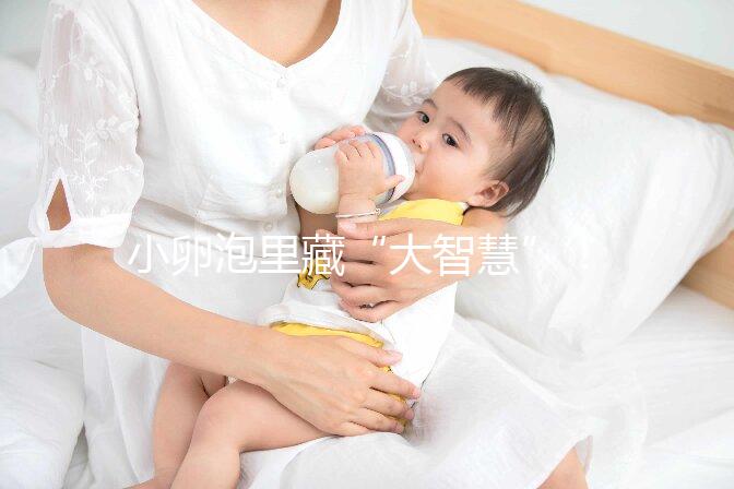 小卵泡里藏“大智慧”！這些冷知識(shí)也該知道了