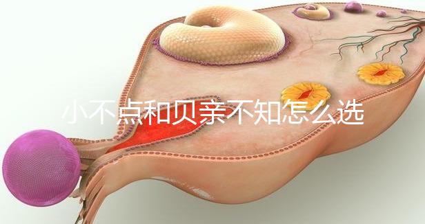 小不點和貝親不知怎么選，挑選一款合適的奶瓶有技巧