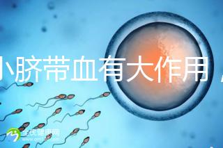 小小臍帶血有大作用，不僅能治療白血病還能拯救腦癱兒