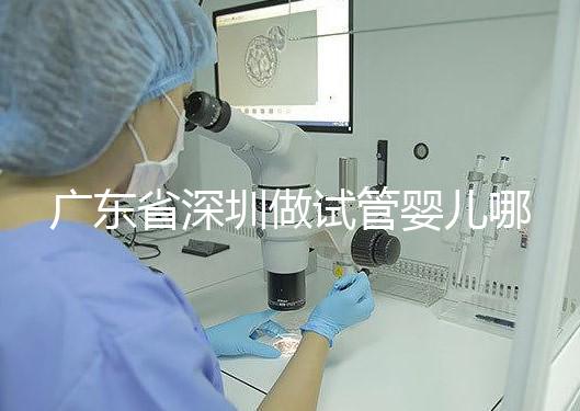 廣東省深圳做試管嬰兒哪里好?盤點(diǎn)成功率最高的醫(yī)院排名