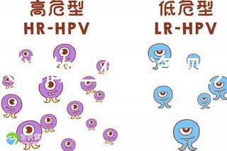 廣東能做三代試管嬰兒醫院是哪三家？附名單及優勢