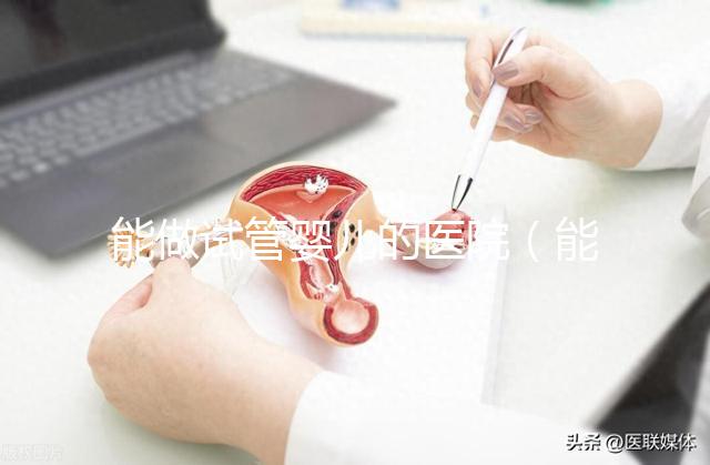 能做試管嬰兒的醫(yī)院(能做試管嬰兒的醫(yī)院有哪些)