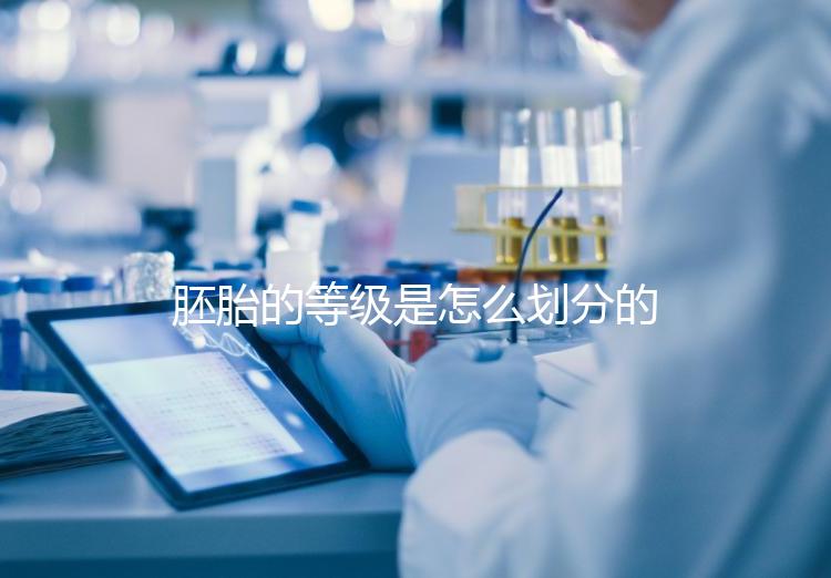 胚胎的等級是怎么劃分的？詳解3天胚胎與5天囊胚的評估標(biāo)準(zhǔn)